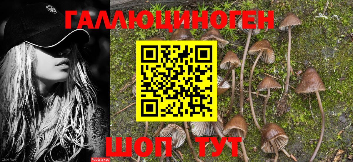 Карасук  Псилоцибиновые грибы Magic Shrooms  Вход с VPN 